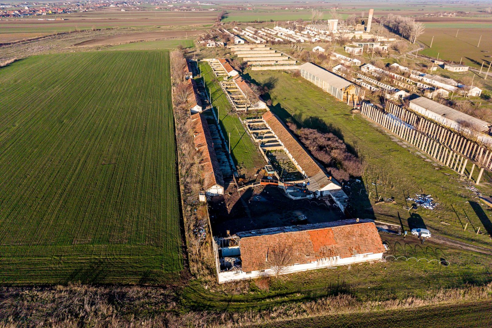 Ferma 11.5 HA lângă DN7 & Autostrada E68 – Nădlac | clădiri+utilități