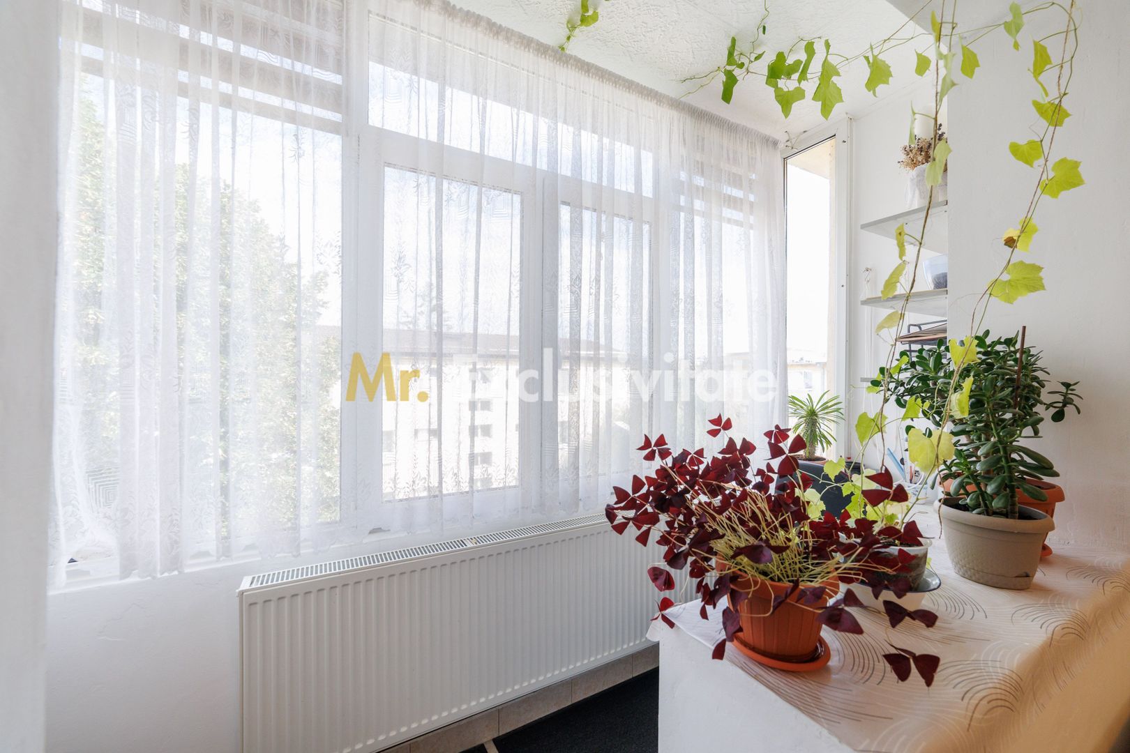Apartament 2 camere, etaj 3, zona Traian I 0% COMISION - imaginea 4