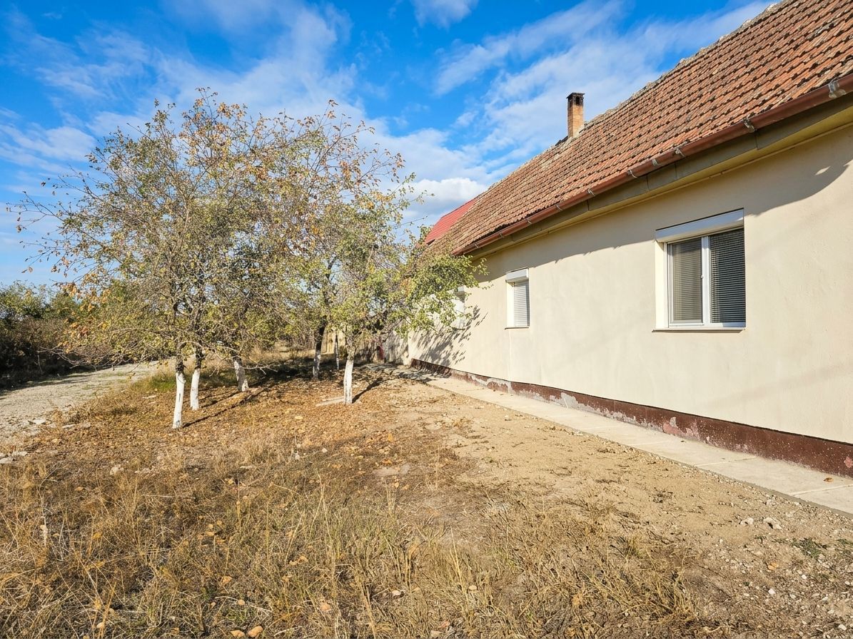 Casă la țară, în satul Cadar (comuna Tormac) la 40 km de Timișoara - imaginea 11