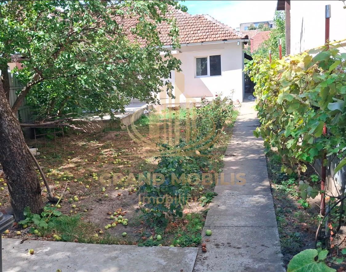 Casă individuală cu curte și garaj | Blașcovici | Timișoara - imaginea 8