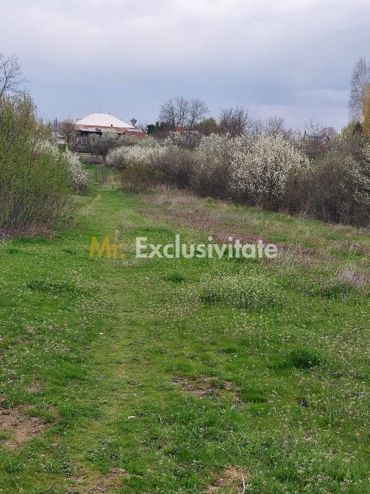 Teren Topoloveni - 3670 mp - langa padure, aproape de Centrul orasului - imaginea 3