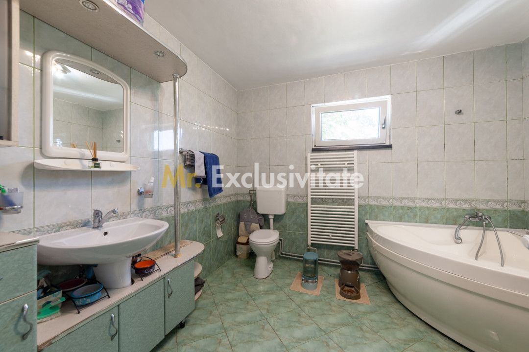 Casa visurilor cu 4000 mp livada roditoare si gradina Darmanesti-Arges - imaginea 21