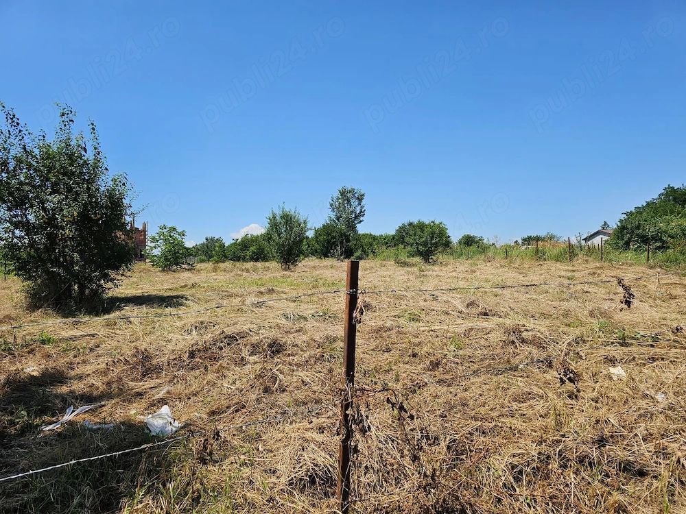 Teren Intravilan 5.000 mp București, Sector 6 (Giulești-Sârbi) - imaginea 2