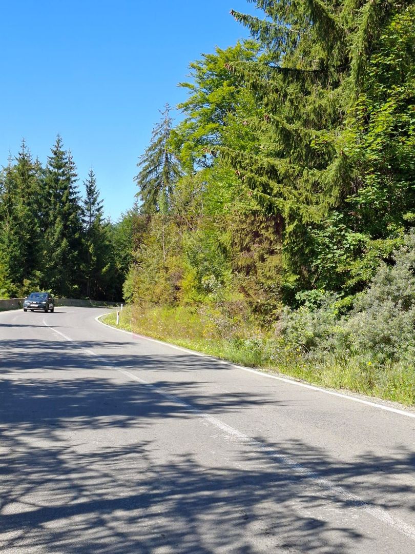 Teren de vânzare în zona Cota 1000 – Sinaia - imaginea 5