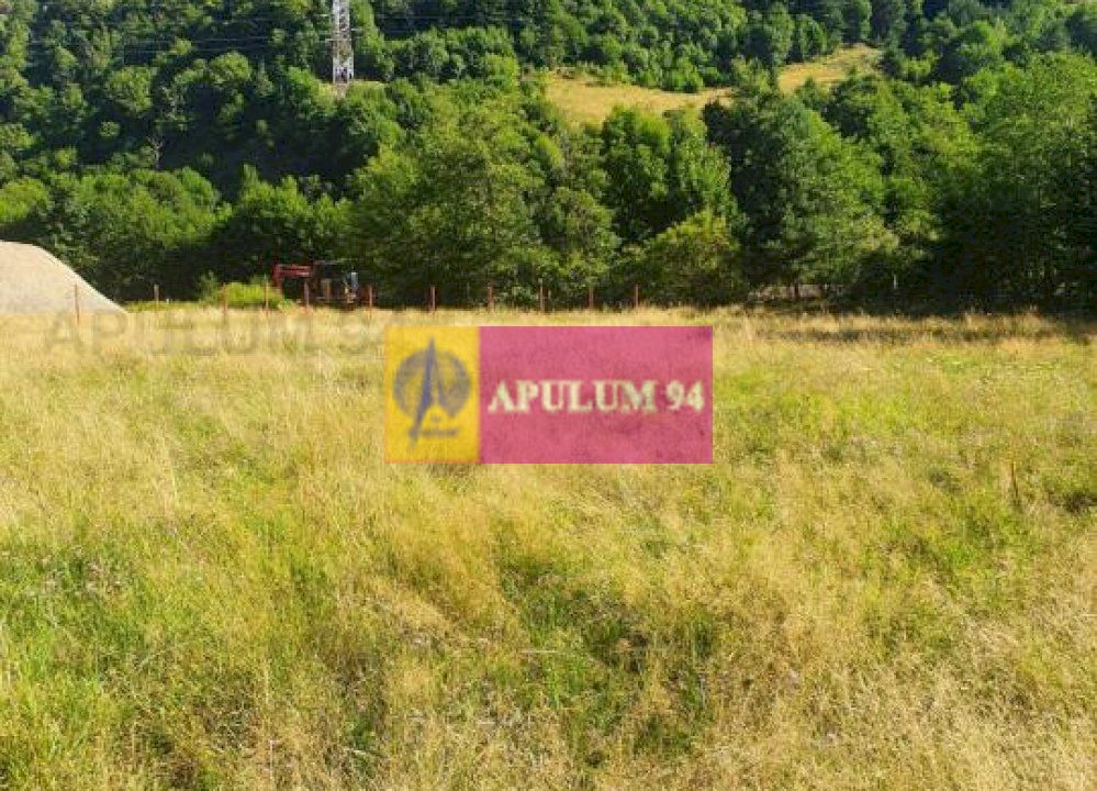 Teren Județul Vâlcea - Brezoi, Valea lui Stan