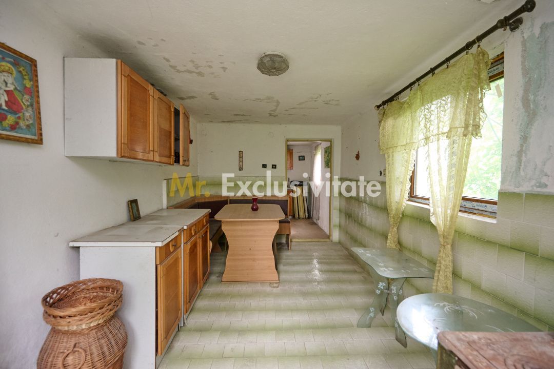 Casa cu teren generos - 4696 mp Apa Sarata - Campulung !! - imaginea 33
