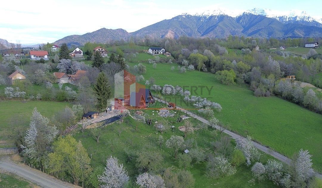2  A-Frame | Bran Sohodol| 2 cabane | Teren 3.812 mp | Operațional | - imaginea 19