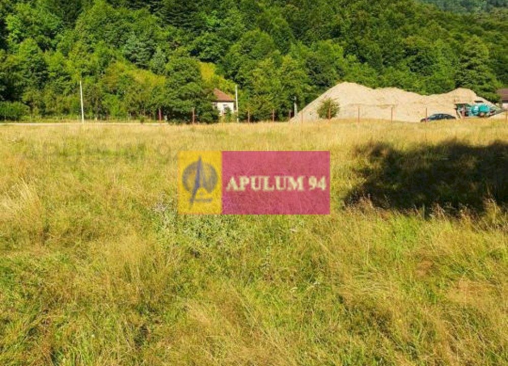 Teren Județul Vâlcea - Brezoi, Valea lui Stan