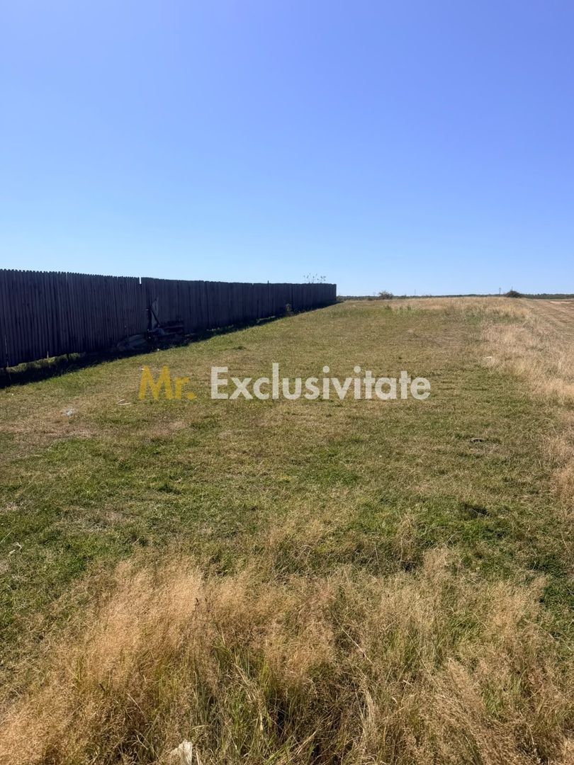Teren Turcesti, Pitesti - 730 mp! - imaginea 2
