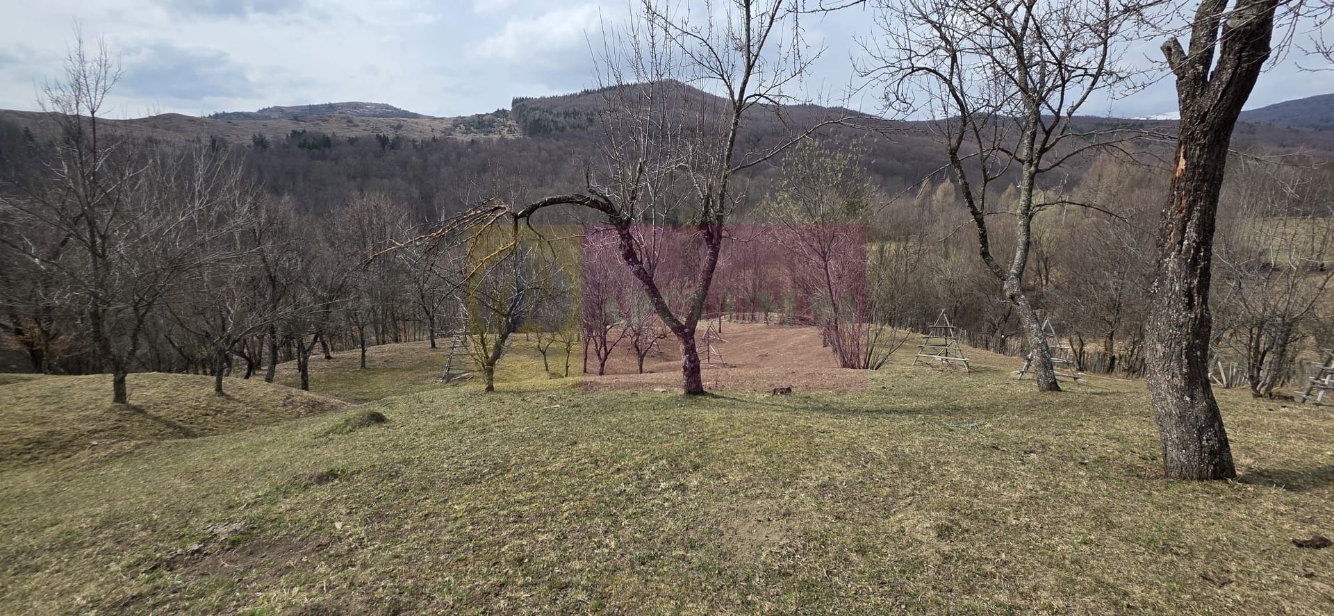 Teren intravilan 2200 mp de vanzare in Valea Doftanei